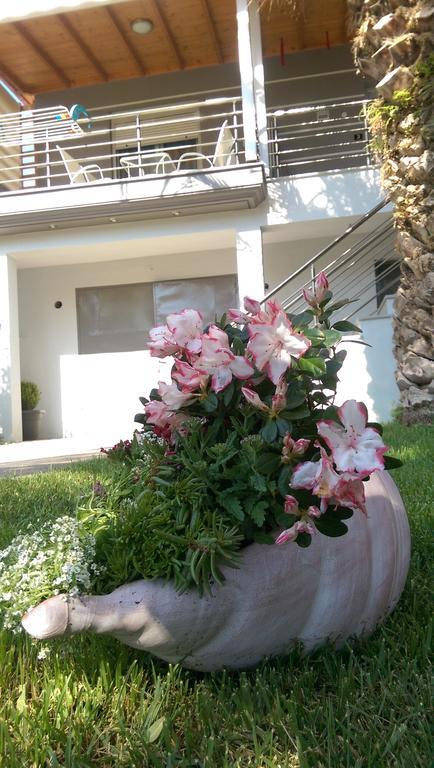 Aimilias Family Apartments Vrasná 외부 사진